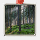 Search for the black forest christmas tree decorations Germany
