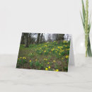 Search for daffodil easter cards Narcissus
