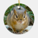 Search for chipmunk christmas tree decorations Nature