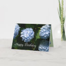 Search for blue hydrangea cards Photography