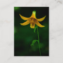 Search for pose business cards Flower