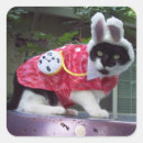 Search for the white rabbit stickers Cat