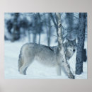 Search for wild side posters Full length