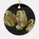 Search for lily christmas tree decorations Plant