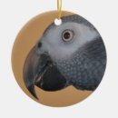 Search for african grey parrot christmas tree decorations Pet