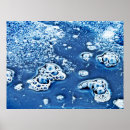 Search for water bubble posters Nature