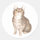 Search for brown tabby cat stickers Kitten