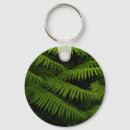 Search for fern leaf key rings Nature