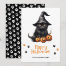 Search for kitten halloween cards Kids