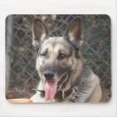 Search for “pure electronics Pet