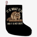 Search for raccoon christmas stockings Santa