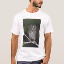 Search for asio otus Grey