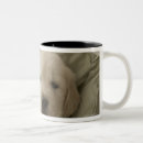 Search for dog nose mugs Animal head