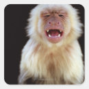 Search for open mouth stickers Wildlife