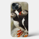 Search for puffin electronics Seabird