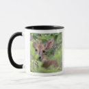Search for hiding mugs Outdoors