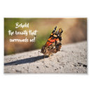 Search for butterfly wall posters Black