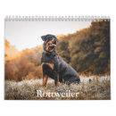 Search for rottweiler calendars Puppy