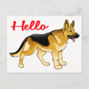 Search for german shepherd postcards Puppies