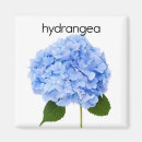 Search for flower kid magnets Blue