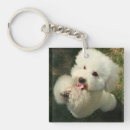 Search for poodle dog key rings Animal
