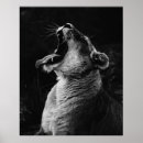 Search for lioness posters Black