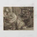 Search for vintage tattoo postcards Cat