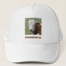 Search for agricultural hats Cows