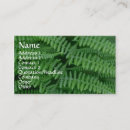 Search for ferns photography Nature