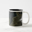 Search for satellite mugs Clouds