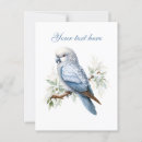 Search for winter bird postcards Cute