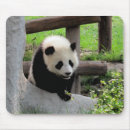 Search for cute panda mousepads Nature