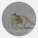 Search for white german shepherd stickers Alsatian