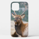 Search for rocky mountain national park iphone cases Bull