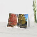 Search for falling photography Foliage