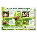 Search for biodiversity posters Nature