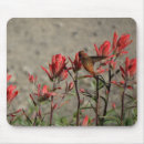 Search for ruby red mousepads Flower