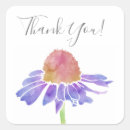 Search for coneflowers stickers Purple