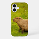 Search for capybara iphone cases Animal