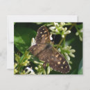 Search for speckle postcards Black