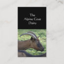 Search for goat farm business cards Goats