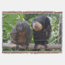 Search for sakis Wildlife