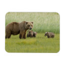 Search for sows magnets Animal