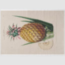 Search for pineapple tissue paper Decoupage