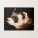 Search for ferret puzzles Mammal