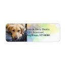 Search for dog owner return address labels Watercolor