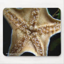 Search for underwater life mousepads Animal
