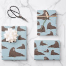 Search for walrus wrapping paper Wildlife