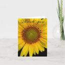 Search for fields photography Yellow