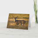 Search for larry cards Buck